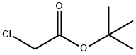 CAS 107-59-5 tert-Butyl chloroacetate