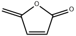 CAS 108-28-1 5-methylenefuran-2(5H)-one