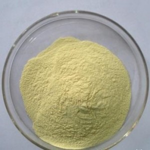 Hydroxypropyl guar gum CAS No.: 39421-75-5
